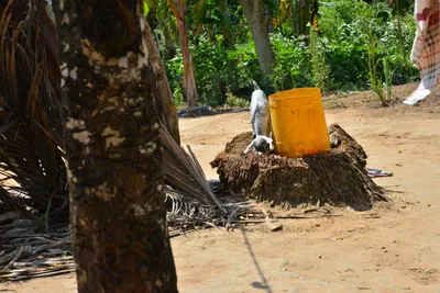 DSC_4988 (Large).JPG